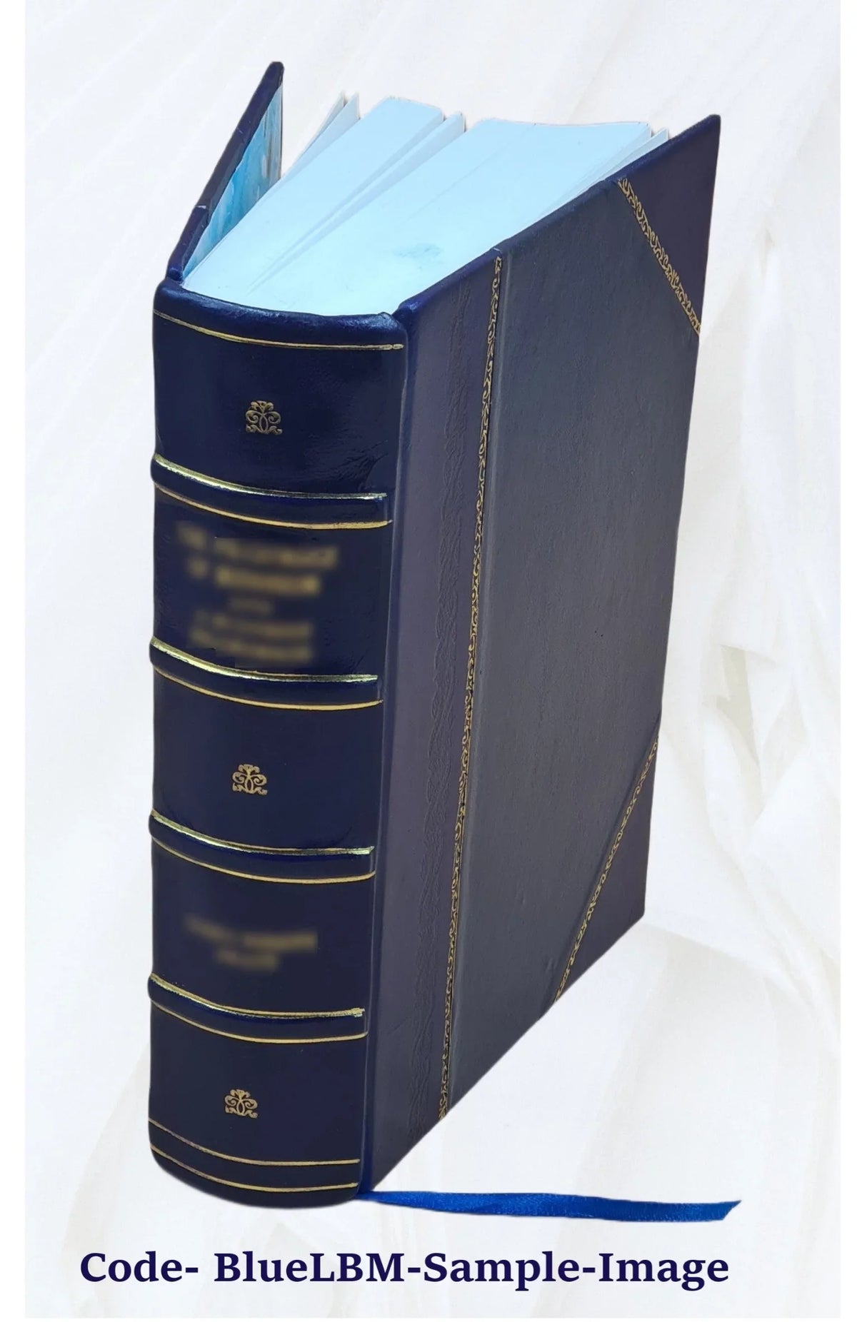 specielle Die Bound] Therapie. 6 [Leather 1818