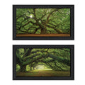 Arbors" Moises Frame Vignette by Black 2-Piece "Tree Levy,
