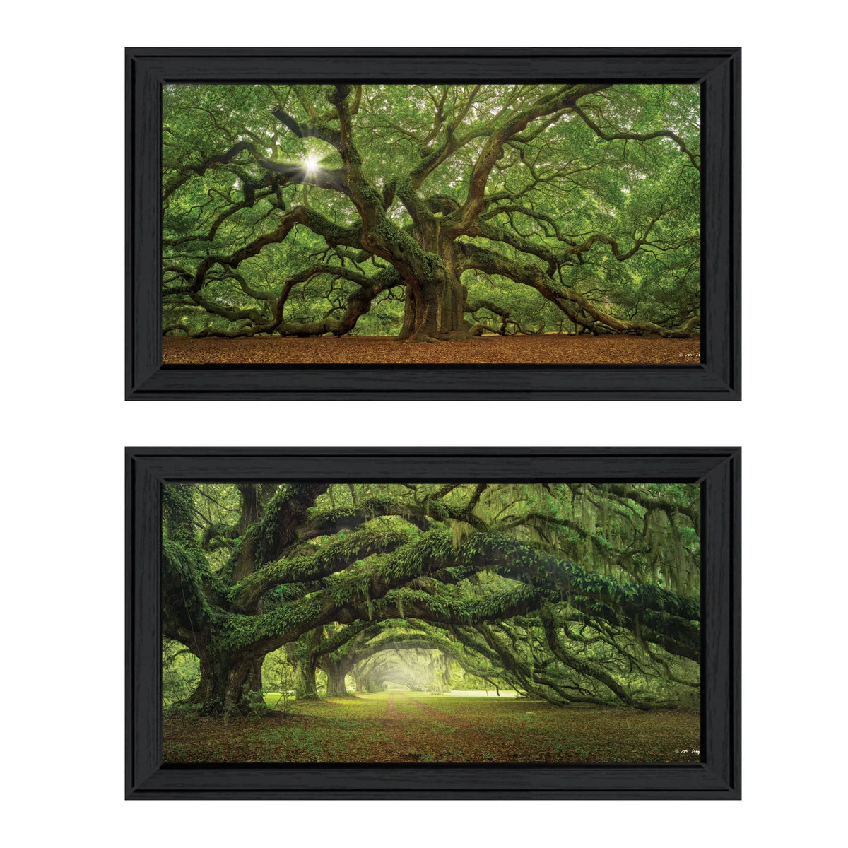 Arbors" Moises Frame Vignette by Black 2-Piece "Tree Levy,
