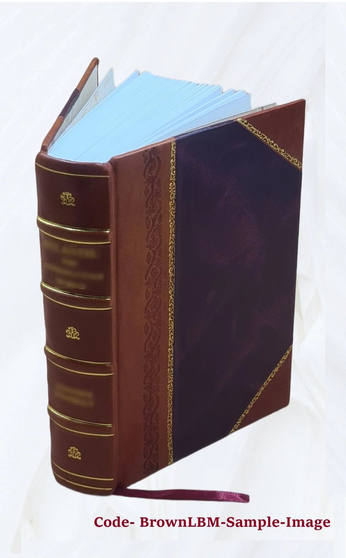 and Cinderella, Cinderella Catskin, Bound] Cap of variants hundred forty-five 1893 [Leather o'Rushes : and three