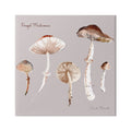 Botanical Floral Mushrooms 36 Art, Wrapped 36 & Canvas Painting Study x Gallery Foraged Stupell Print Wall Industries Art
