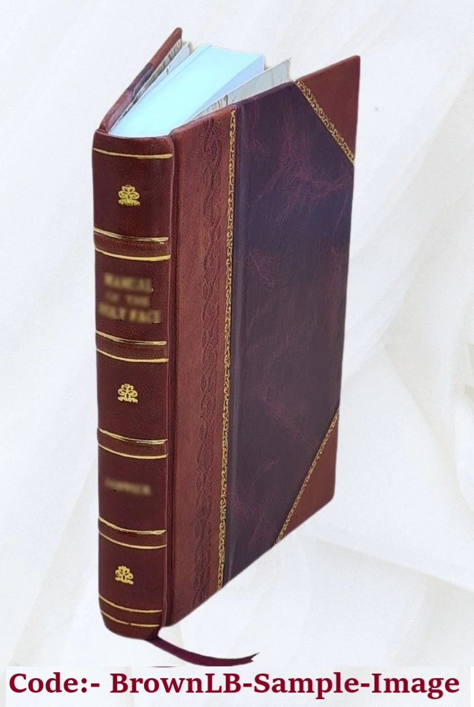 Two [pseud.]. missing Otis Chased million or, Norway, [Leather by / 1899 through dollars Bound] James