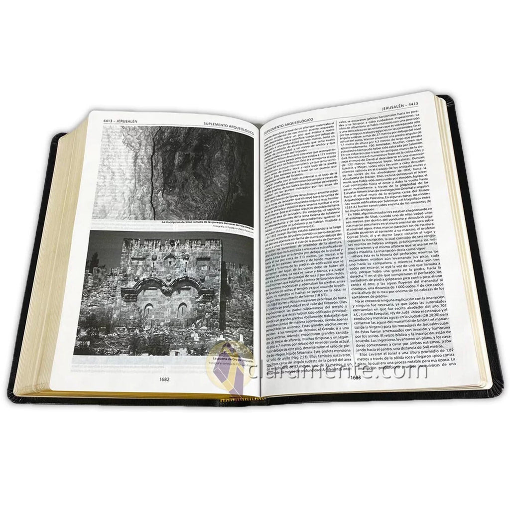 Valera Biblia Leather Fibers de 1960, 1960, Reference Piel Referencia Reina Valera Recycled Reina Reciclada/ Spanish Thompson, Bible, Thompson (Other) Chain