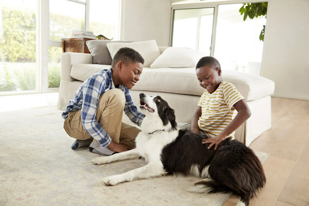 HVAC 4 Smart Allergen, Air Filters Filter, & 12, 1500 Virus MPR, Bacteria by Filtrete 14x24x1, Furnace and MERV 3M