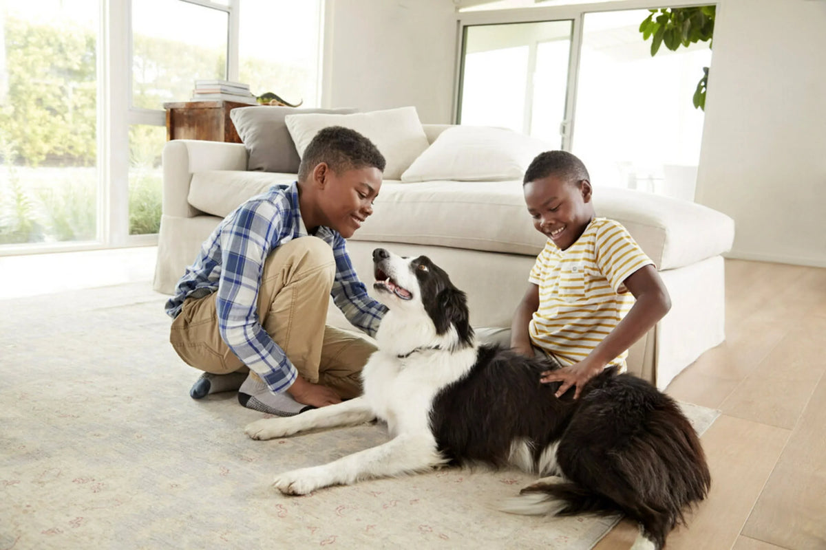 HVAC 4 Smart Allergen, Air Filters Filter, & 12, 1500 Virus MPR, Bacteria by Filtrete 14x24x1, Furnace and MERV 3M