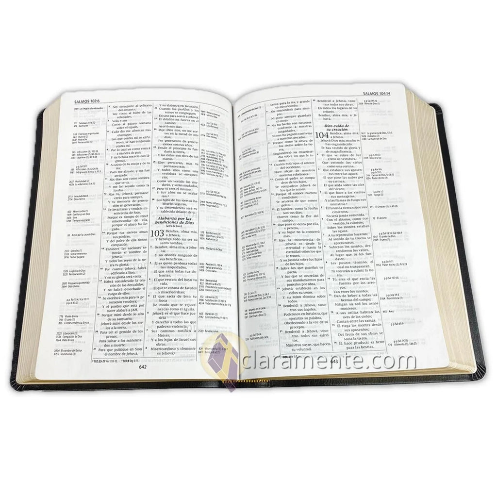 Valera Biblia Leather Fibers de 1960, 1960, Reference Piel Referencia Reina Valera Recycled Reina Reciclada/ Spanish Thompson, Bible, Thompson (Other) Chain