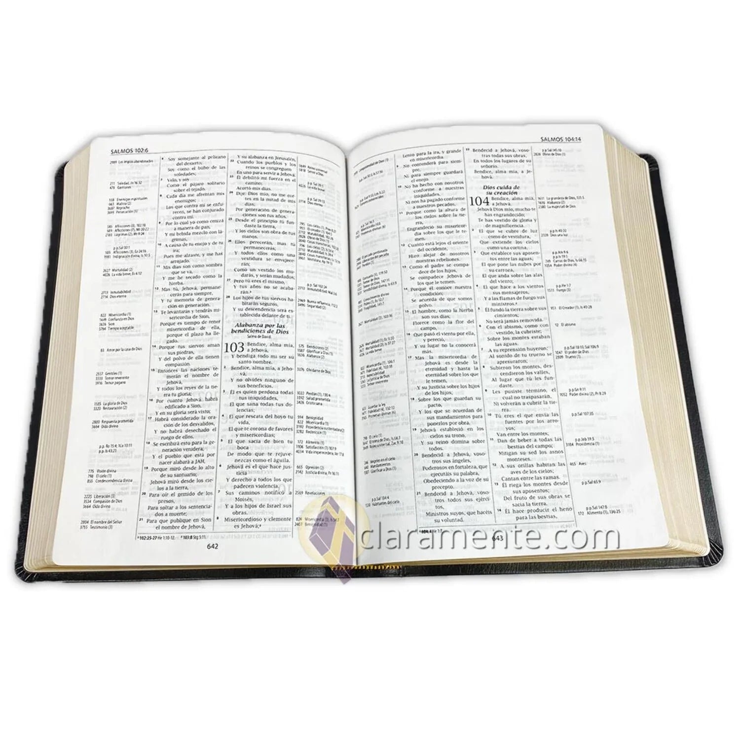 Valera Biblia Leather Fibers de 1960, 1960, Reference Piel Referencia Reina Valera Recycled Reina Reciclada/ Spanish Thompson, Bible, Thompson (Other) Chain