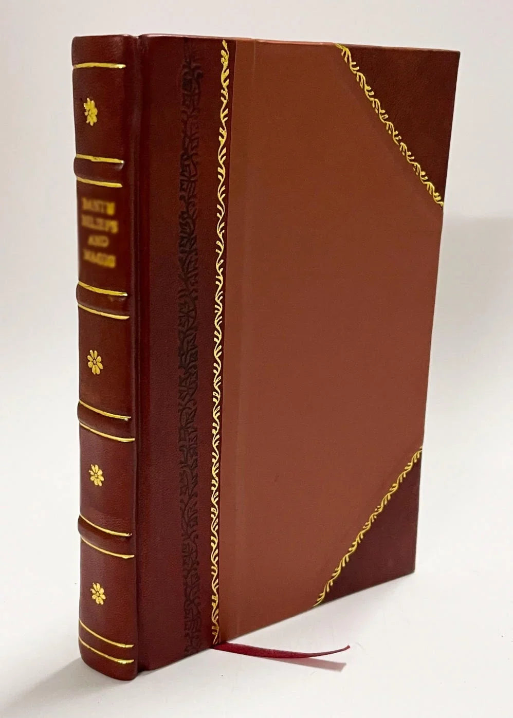 Maximilian Bound] / American Loup Book Salad (1899) [Leather (1899) De The