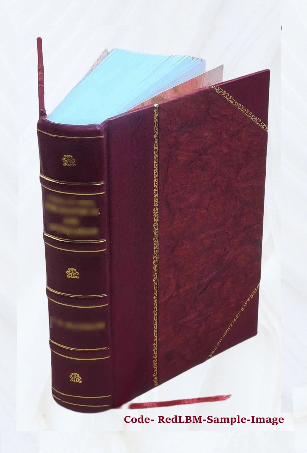 and Cinderella, Cinderella Catskin, Bound] Cap of variants hundred forty-five 1893 [Leather o'Rushes : and three