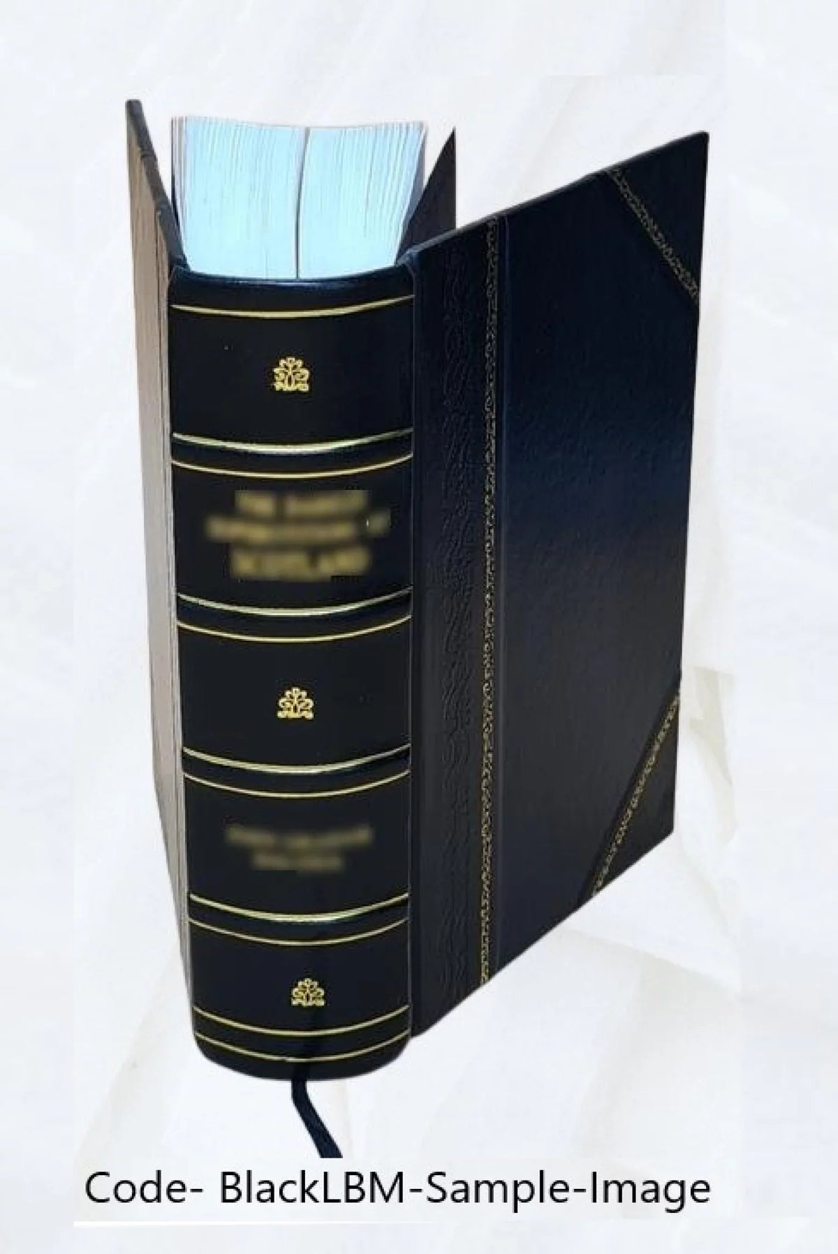 Paquis Lembke, Histoire 3. 1157 Bound] Bossi, depuis de par la etc. d'Espagne [Leather mort Aschbach, jusqu'à M. Charles l'an 1838 Dunham, D'apres Ferreras,